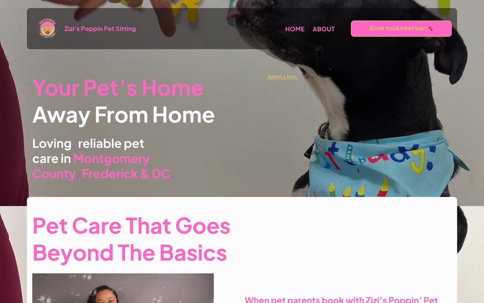 Zizi's Poppin Pet Sitting live home page with online booking